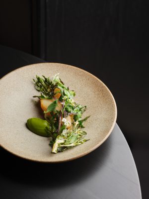 John doryheronosauce 40193 small