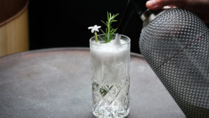 AULIS GANDT 2222 small