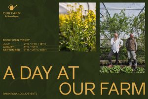 GP Email A Dayat Our Farm