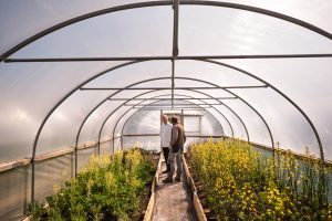 L Enclume Our Farm 146