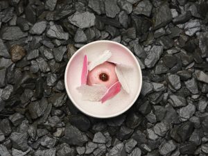 Henrock Beetroot Dessert Landscape small