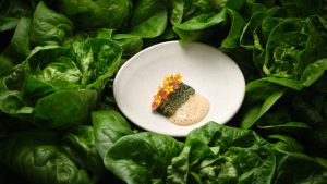 Gem lettuce31632 small