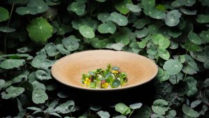 Sweet belle turnip31442 small