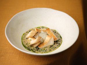 AUGUST starter mushroom 4459