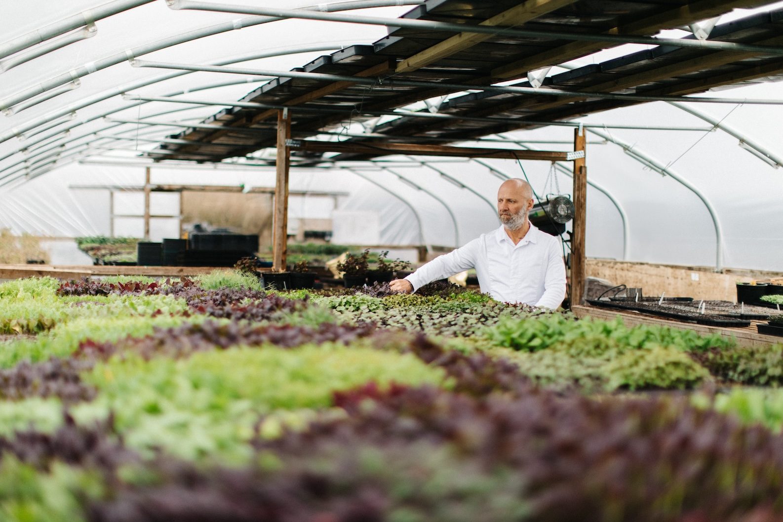 Simon Rogan Portrait int the farm