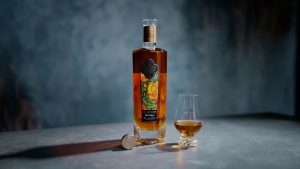 Reflections Still 17