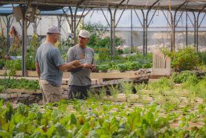 Alex Simon Farm Justin De Souza 31 1