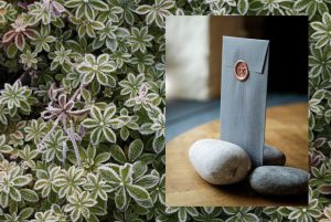 Cutlery Newsletter 1