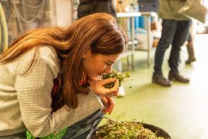 SMALL 301023 Fell Brewery Our Farm collab 51 1024x683