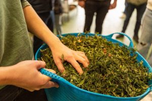 SMALL 301023 Fell Brewery Our Farm collab 62 1024x683