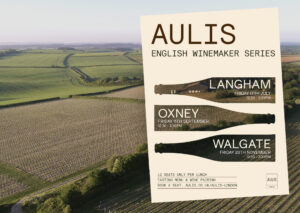 AULIS GROUP SCENIC LANDSCAPE