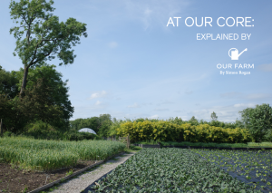 Our Farm Sunday Series 1