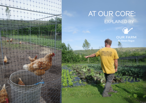 Our Farm Sunday Series