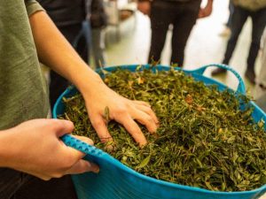 SMALL 301023 Fell Brewery Our Farm collab 62 1024x683