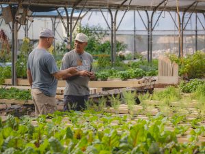 Alex Simon Farm Justin De Souza 31 1