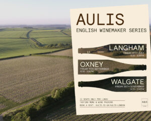 AULIS GROUP SCENIC LANDSCAPE