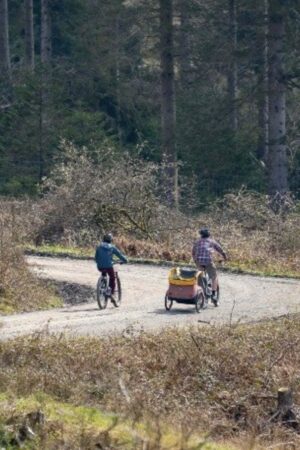 Rogan and co Biketreks Grizendale Bike Rent