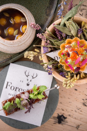 Rogan and co The Forest Side 5