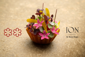 ION Harbour Michelin Newsletter 3